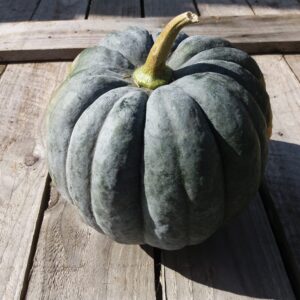 10kg Black Futsu