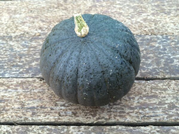 10kg Mix Squash - Image 8