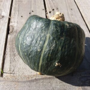 10kg Buttercup Squash