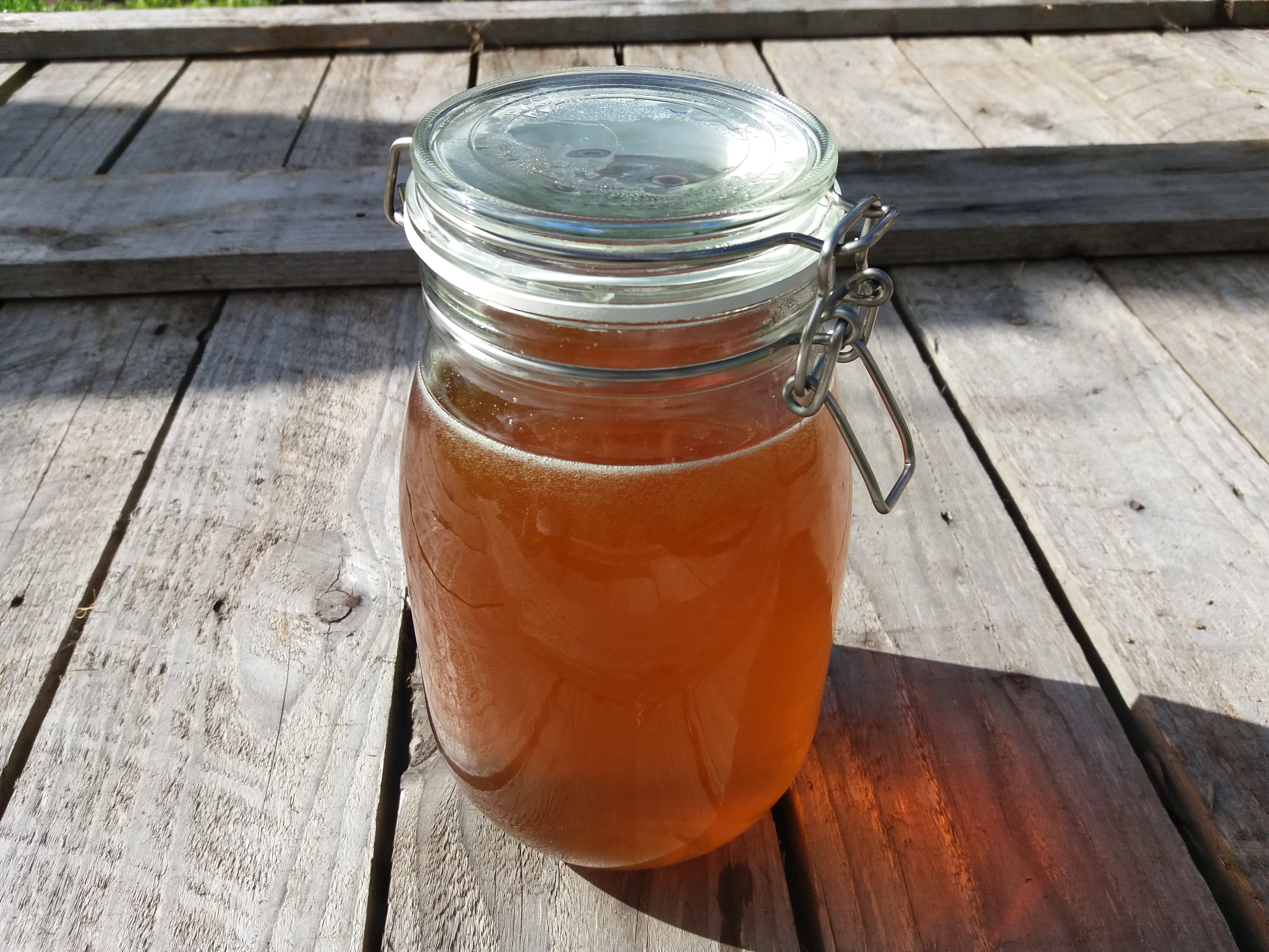 Organic Honey 1.5L | Forge Farm