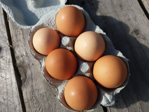 1/2 Dozen Organic Eggs - Image 6