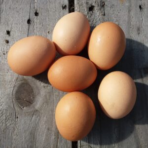 1/2 Dozen Organic Eggs