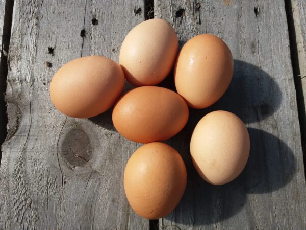 1/2 Dozen Organic Eggs